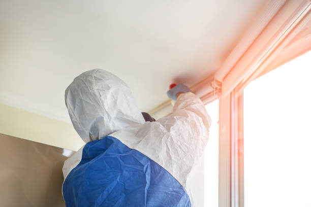 Reliable Dasher, GA Mold Removal Solutions